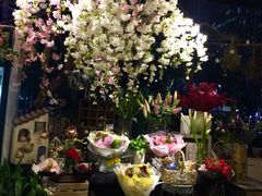 -杂咖zacup(领展中心城店)