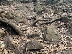 -大蜀山国家森林公园