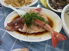 清蒸石斑鱼-明记海鲜大排档(巽寮湾店)