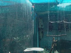 -九龙公园