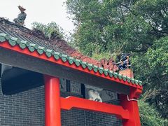 -深圳国际园林花卉博览园