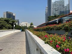 -荔香公园