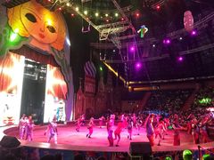 -俄罗斯国家大马戏团