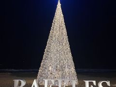 -海南清水湾莱佛士酒店