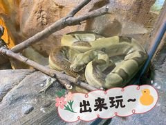 -灵玲国际马戏城