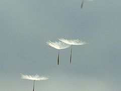 -御池宫韩式汗蒸汤泉会所