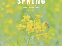 -福建鲤鱼洲酒店