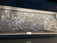 -柳州白莲洞洞穴科学博物馆