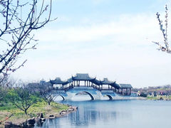 -上海海湾国家森林公园