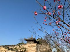 -广富林郊野公园