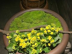 -桂语山房(满觉陇店)