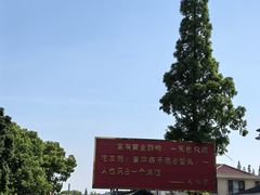 -华西村