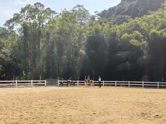 -黄埔油麻山森林公园
