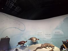 -中国湿地博物馆