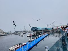 -大连圣亚海洋世界