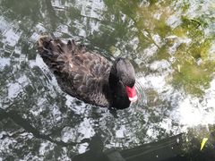-北京麋鹿生态实验中心