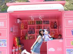 -东莞松山湖万象汇