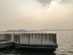 -金鸡湖桃花岛