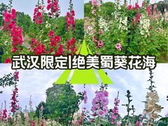 -武昌江滩