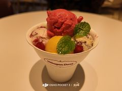 心花怒放-哈根达斯(万象城店)