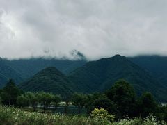 -大九湖