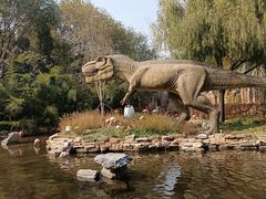 -北京野生动物园