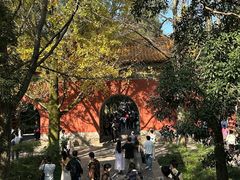 -灵谷景区