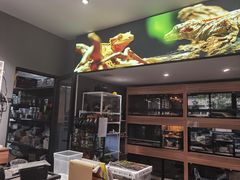 -酷以爬仙阁实体爬宠店·守宫·蜥蜴·专业繁育