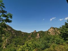-大岭沟猕猴桃谷风景区