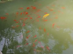-龙潭水乡
