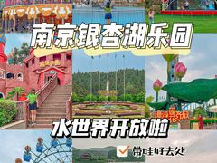 -南京银杏湖乐园