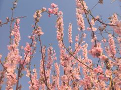 -北运河水利风景区