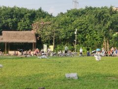 -广州长隆飞鸟乐园