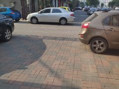 -春雨羊汤店(广开四马路总店)
