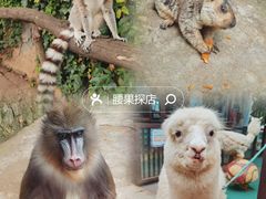 -云南野生动物园