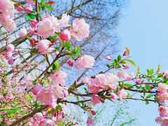 -将军关探险漂流