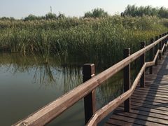 景点-西青郊野公园