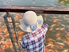 -昆山城市生态森林公园