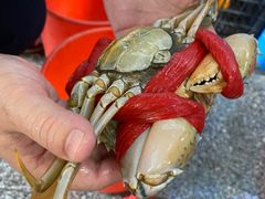 -三辣馆