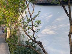 -乌山风景区