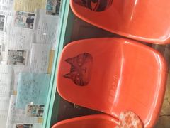 -猫咪博物馆(顶澳仔猫街店)