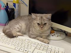 -佳雯宠物医院·皮肤科·内外科(春晓路分院)