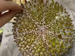 -G-Super 绿地优选(徐汇绿地缤纷城店)