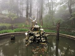-莫干山风景区