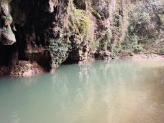 -怀托摩萤火虫洞