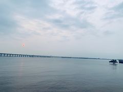 -宝安西湾红树林湿地公园