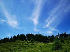 -白草畔自然风景区