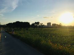 -光明小镇欢乐田园