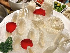 -椰子湾·海南火锅·糟粕醋·椰子鸡(正大广场店)