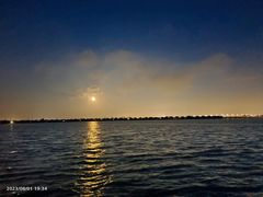 -漕湖湿地公园